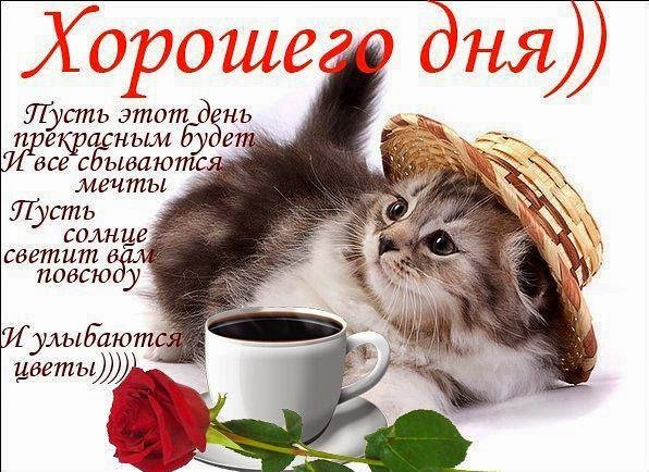 Прикольные открытки с добрым дне