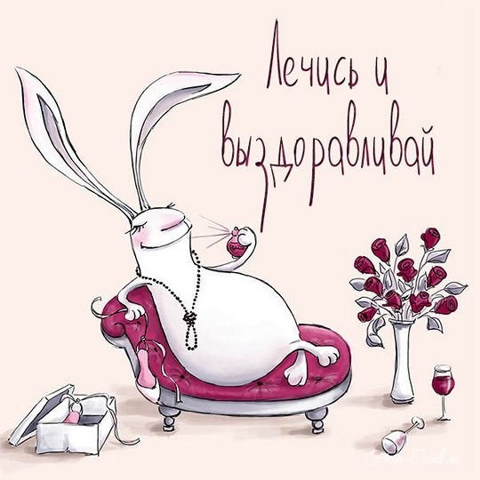 Смешные открытки