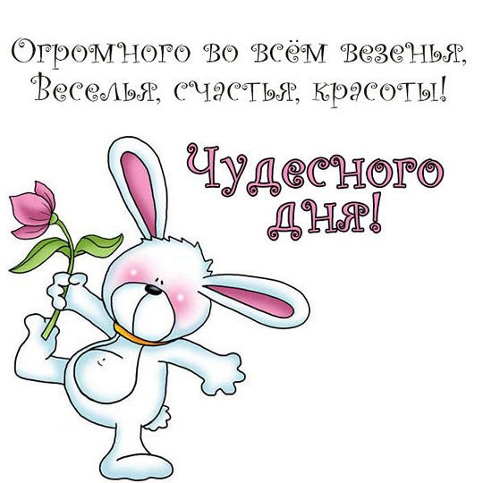 Доброго дня прикольные