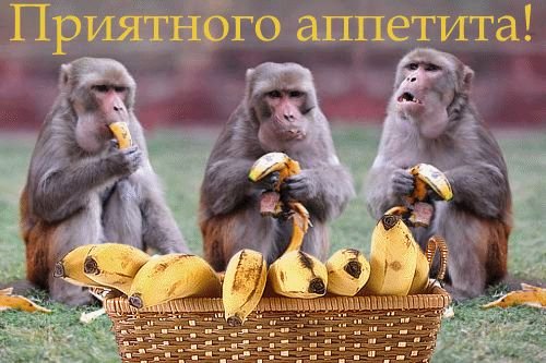 Приятного аппетита картинки смешные