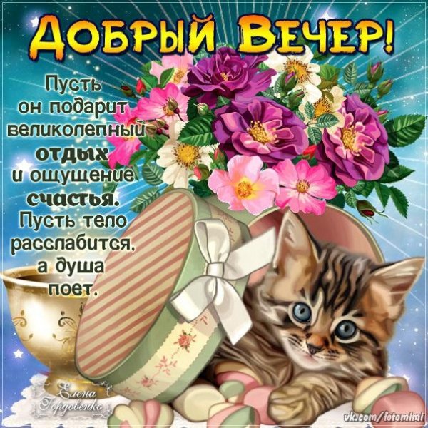 Прикольные пожелания доброго вечера