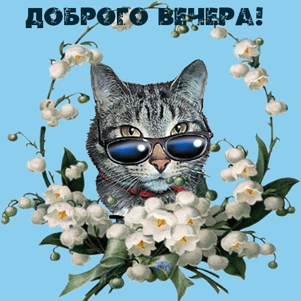 Стикеры добрый вечер