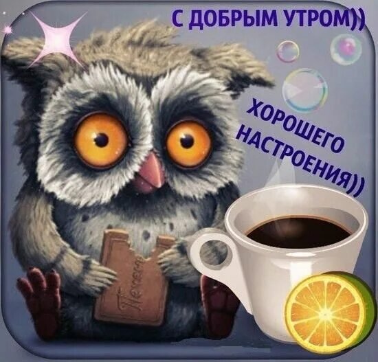 Забавные открытки с добрым утром
