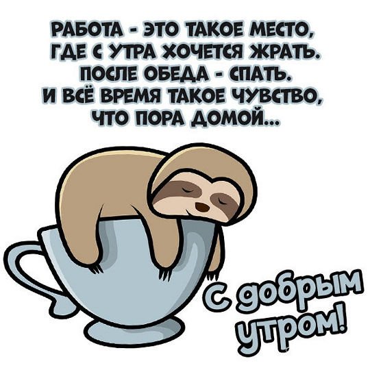 Открытки с добрым утром смешные