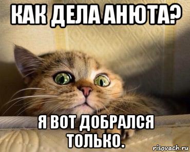 Привет как дела картинки