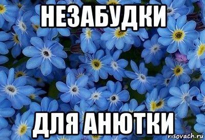 Цветочки для Анютки