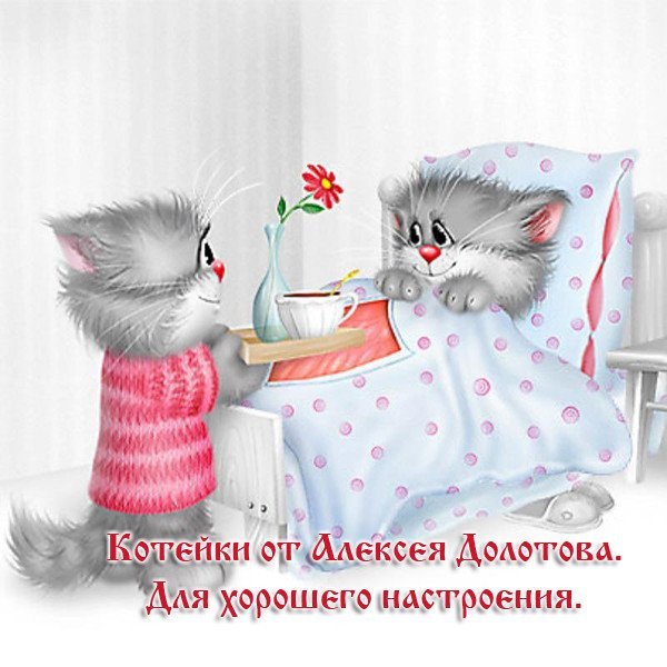 Доброе утро котики