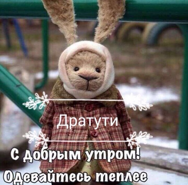 Дратути заяц в пальто