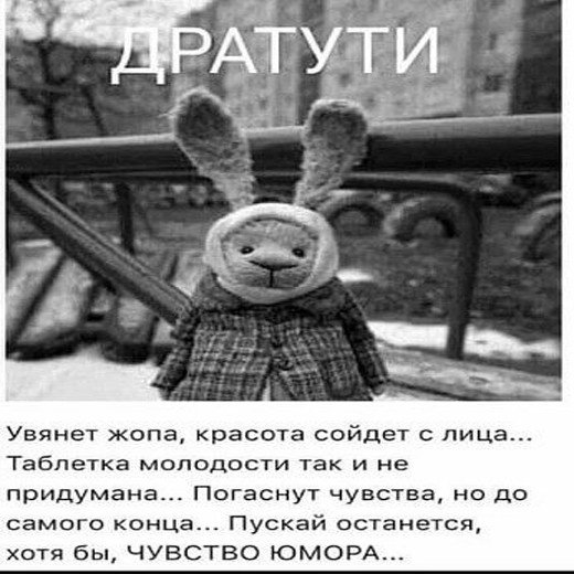 Дратути заяц в пальто с надписью