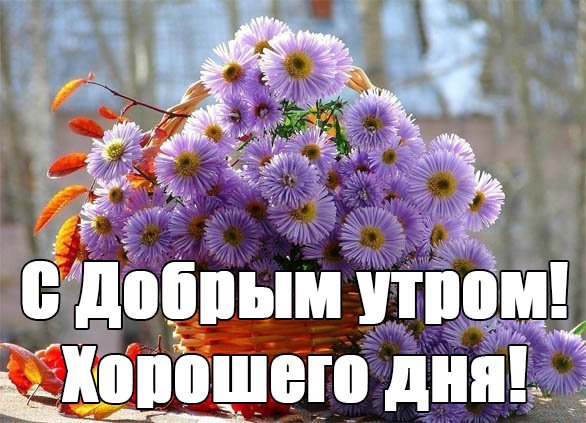 Доброе утро надя