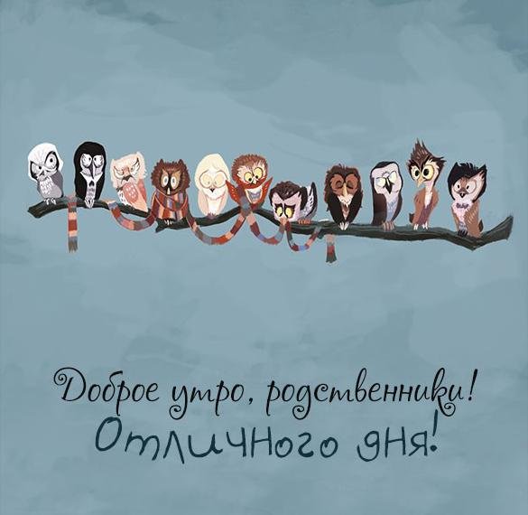 Смешные картинки на тему родственники