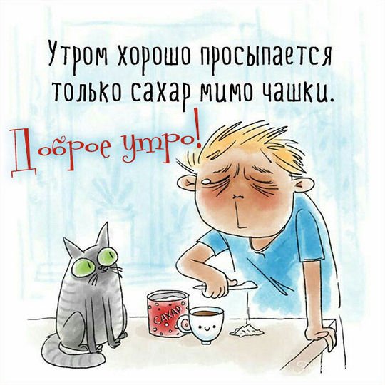 С добрым утром юмор