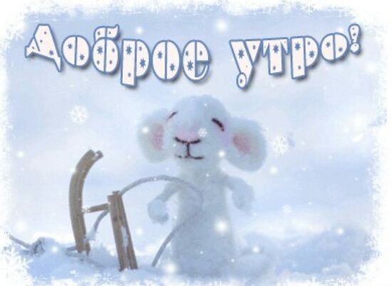 Доброе утро зимнее прикольное