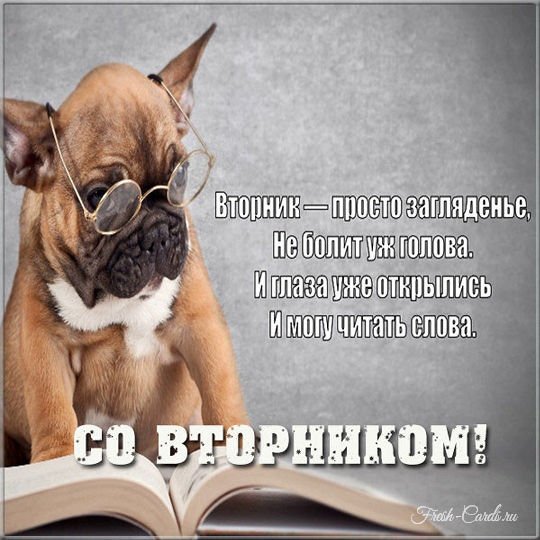 Стих про вторник прикольный