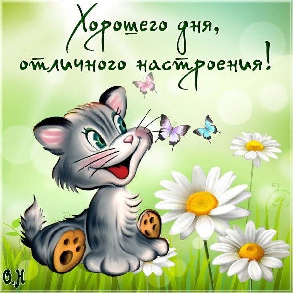 Доброго дня прикольные