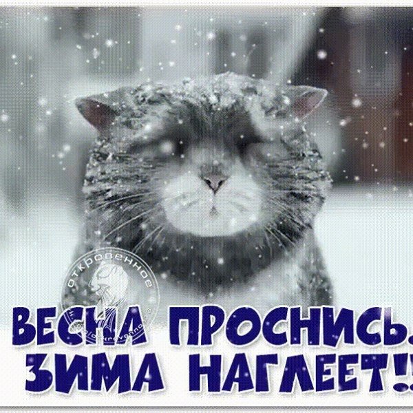 Жду весну