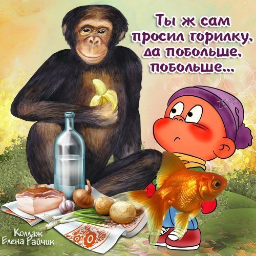 Открытка СТО грамм горилки