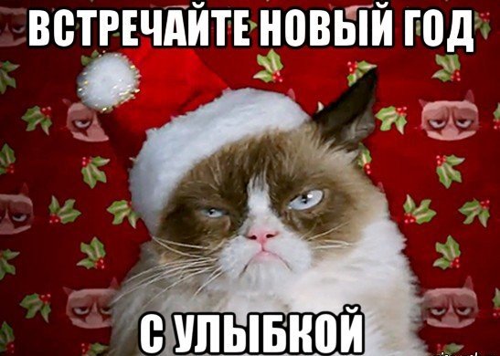 Недовольный кот новый год