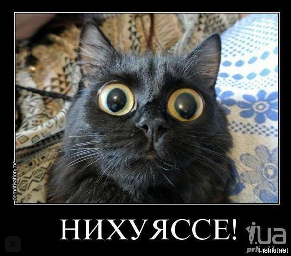 Я В шоке