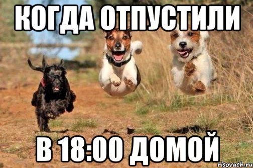 Пятница а я на работе
