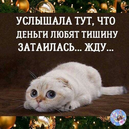 Смешные высказывания про деньги