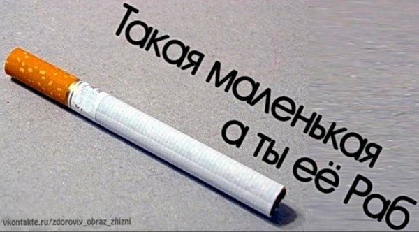 Смешные сигареты