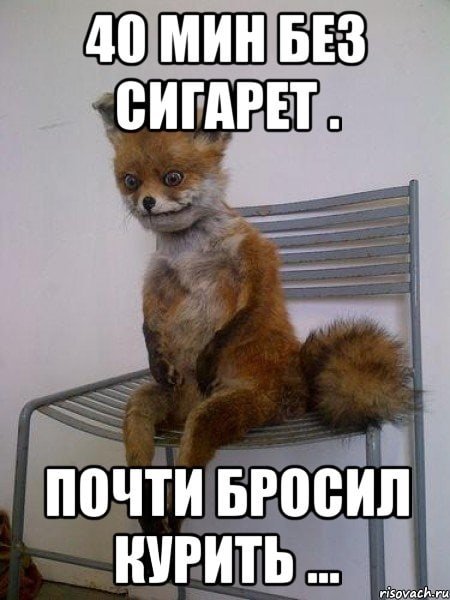 Бросил курить Мем