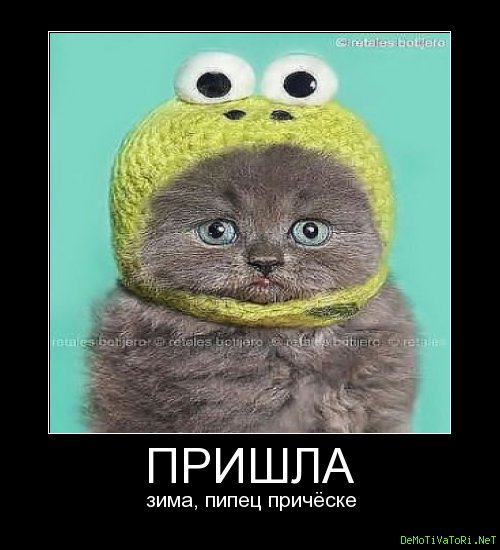 Пришла зима пипец прическе