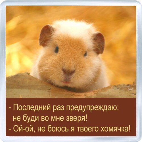 Я хомячков не боюсь