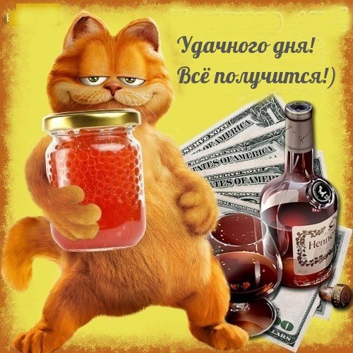 Смешные пожелания хорошего дня