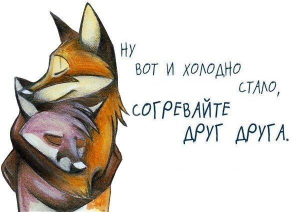 Прикольные статусы про холод