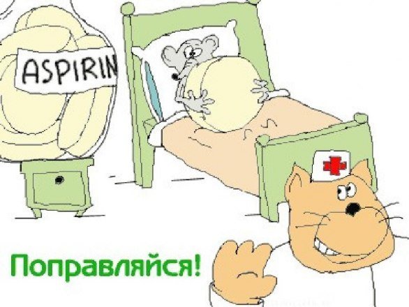 Картинки выздоравливай скорее прикольные