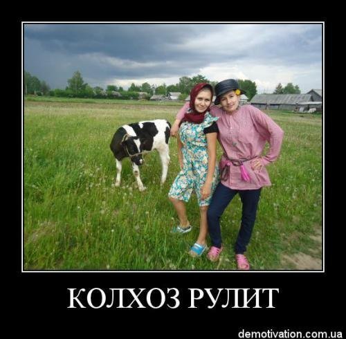 Колхоз прикол