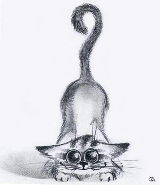 Кошка рисунок карандашом