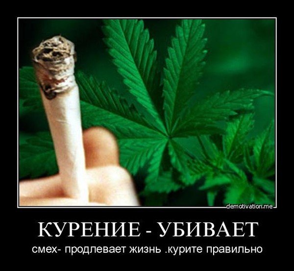 Курят коноплю