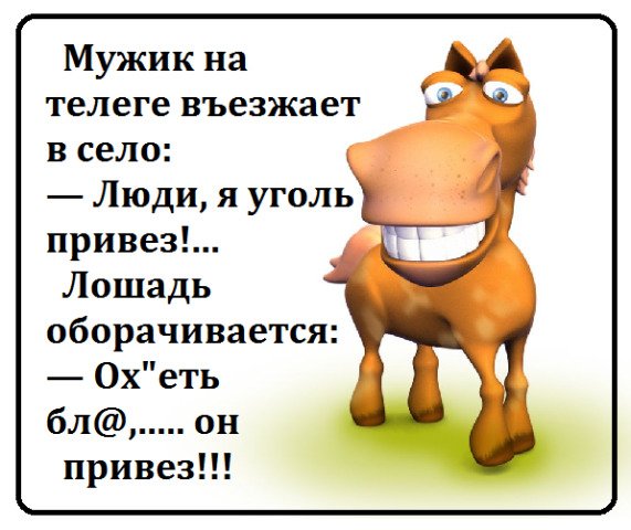 Анекдоты про лошадей