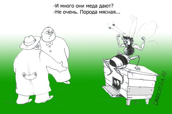 Пчеловод карикатура