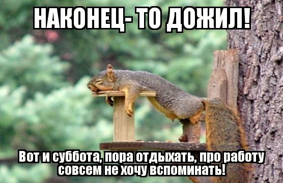 Приколы про субботу в картинках