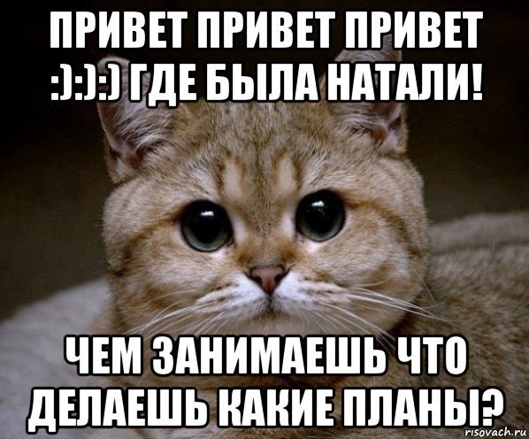Привет Наташа Мем
