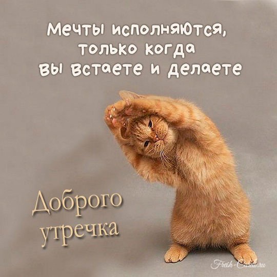 Пожелания с добрым утром прикольные