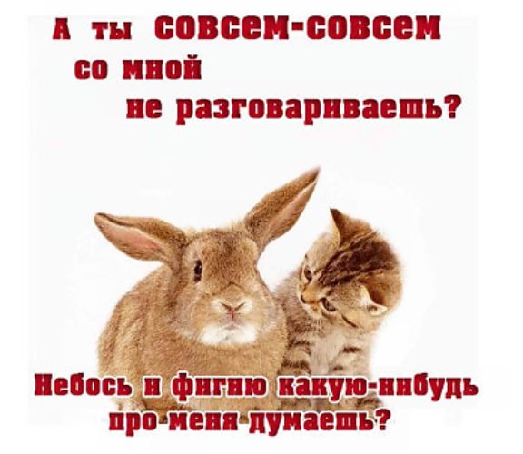 Почему не разговариваешь со мной