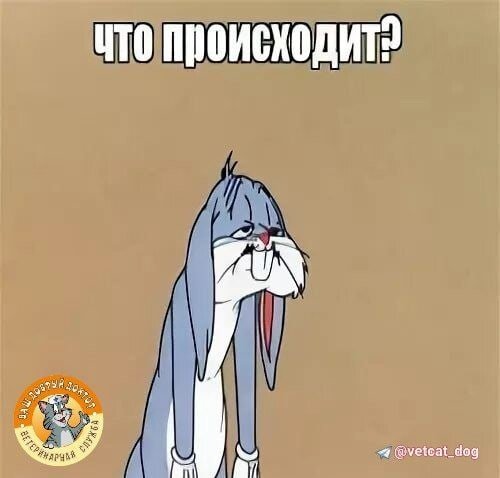 Не выспался прикол