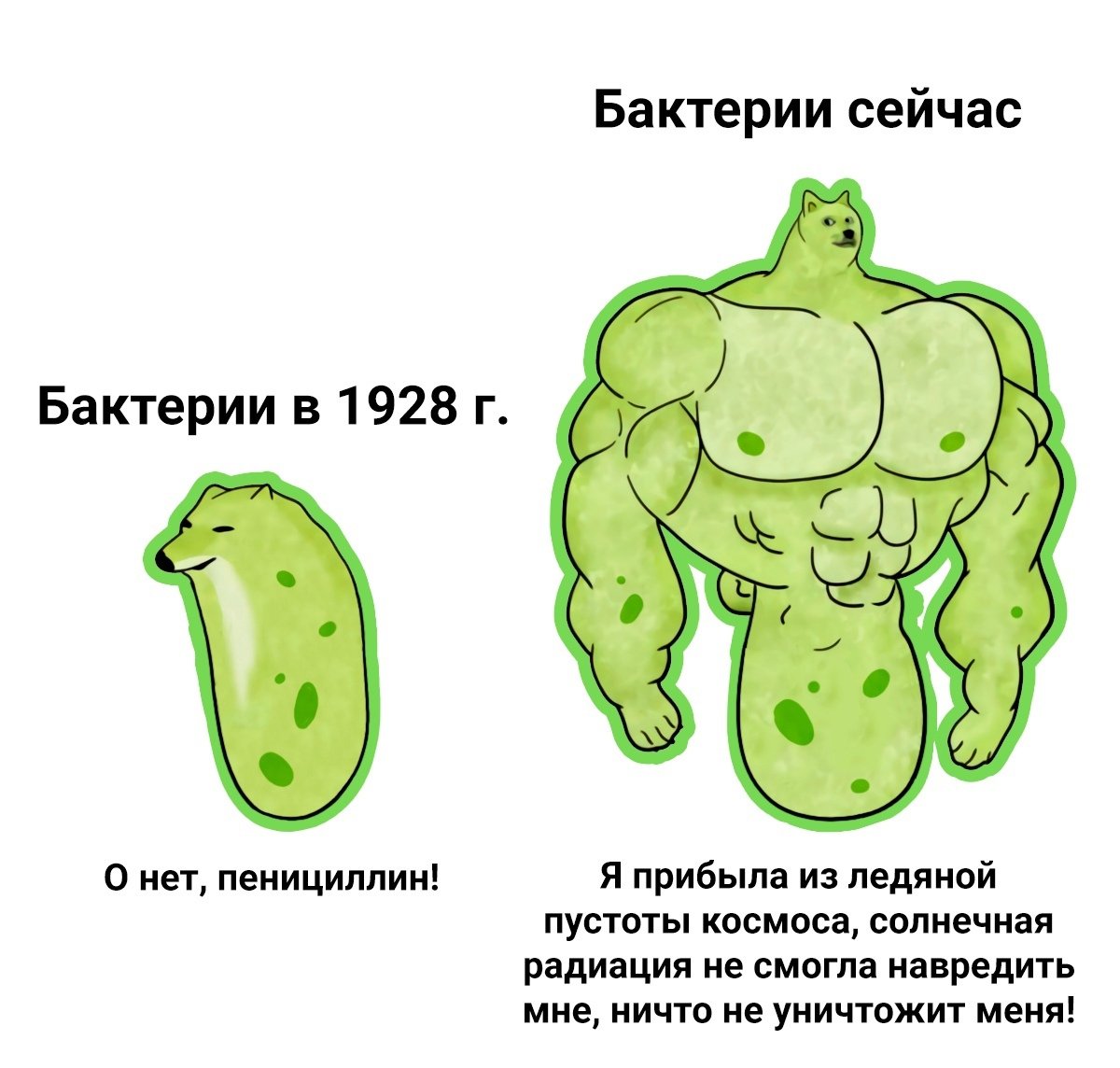 Смешные картинки Окр 29 фото