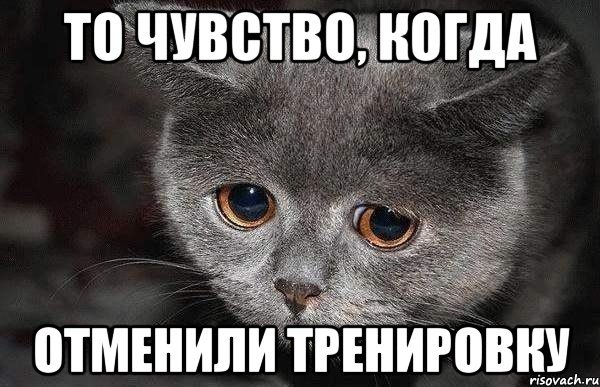 Внимание тренировка отменяется