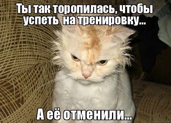 Опять на тренировку