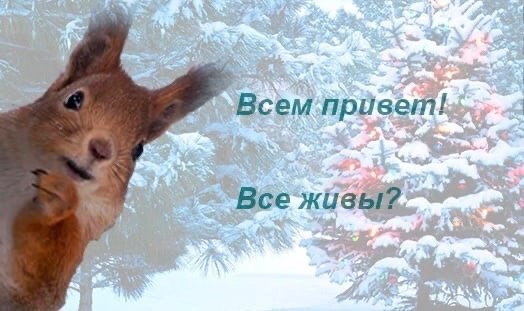 Открытка живые есть перекличка