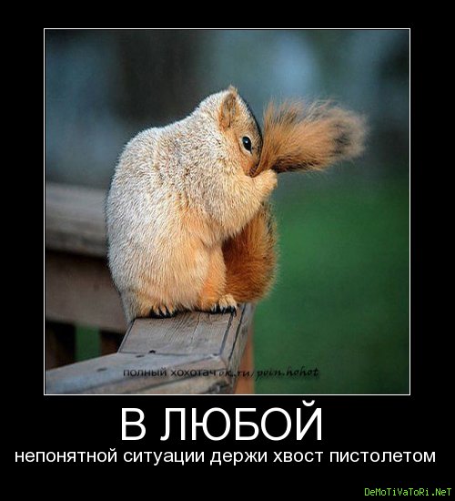 Доброе утро хвост пистолетом