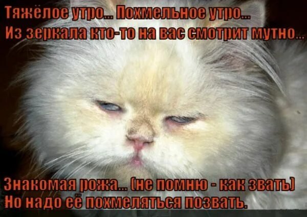 Доброе утречко с похмелья