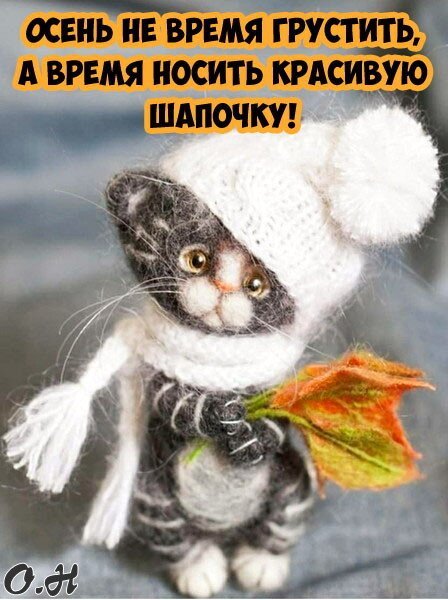 Осень не повод грустить