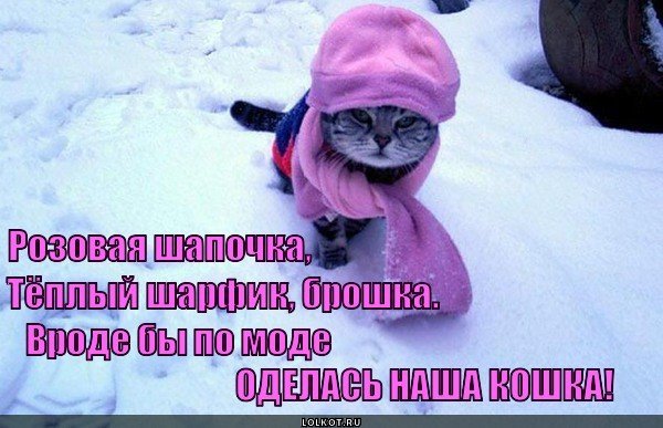 Открытки одевайся теплее